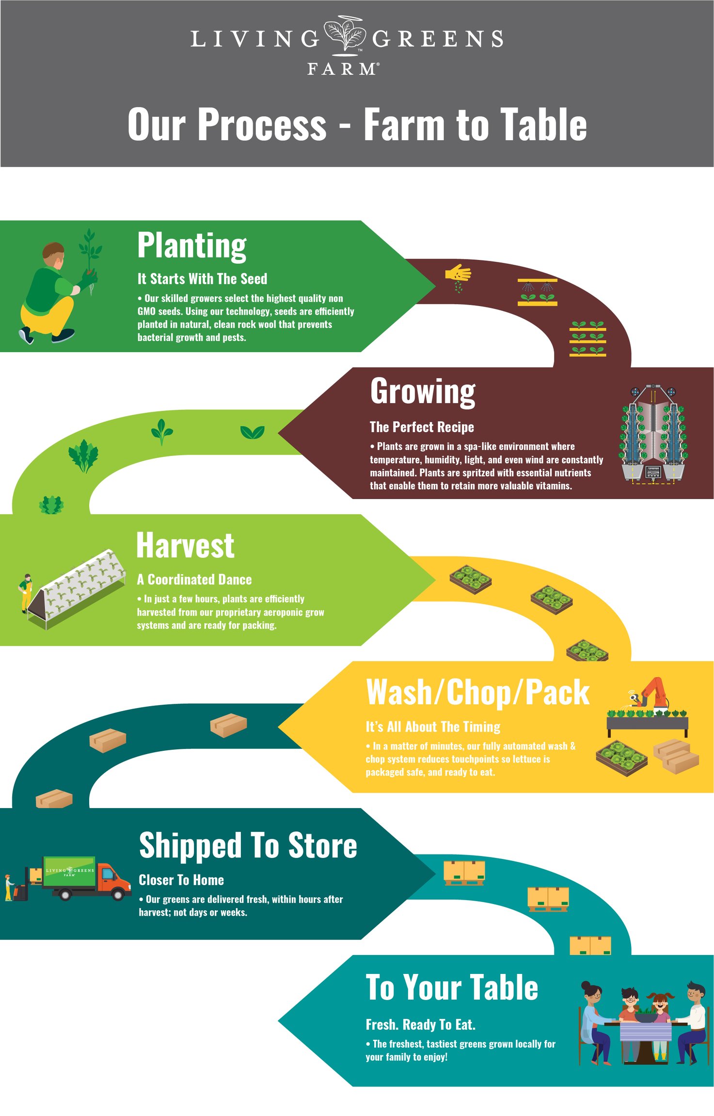 living-greens-farm-farm-to-table-process